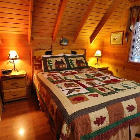 Cute Updated Mountain Cabin Fireplace #3 海伦 外观 照片