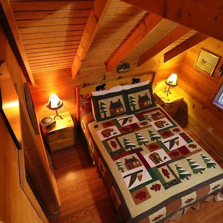 Cute Updated Mountain Cabin Fireplace #3 海伦 外观 照片