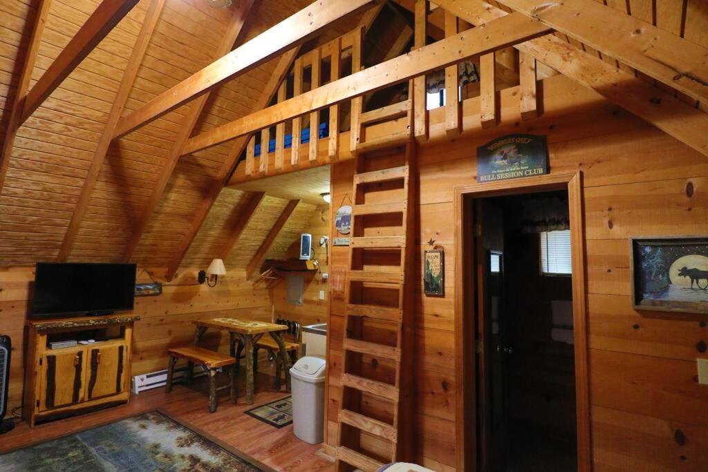 Cute Updated Mountain Cabin Fireplace #3 海伦 外观 照片