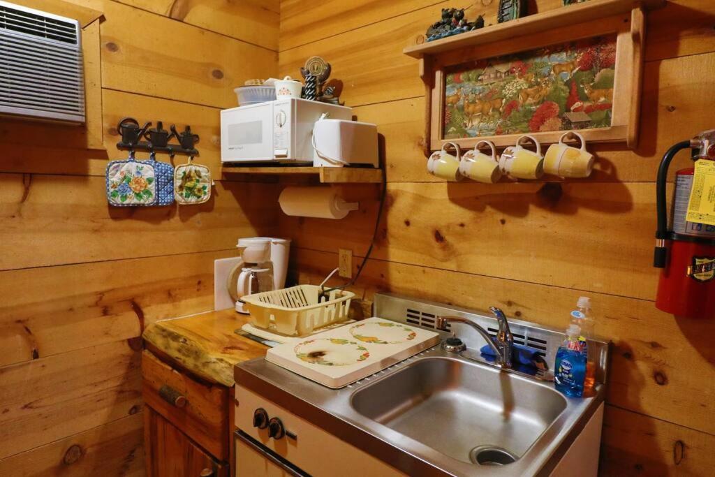 Cute Updated Mountain Cabin Fireplace #3 海伦 外观 照片