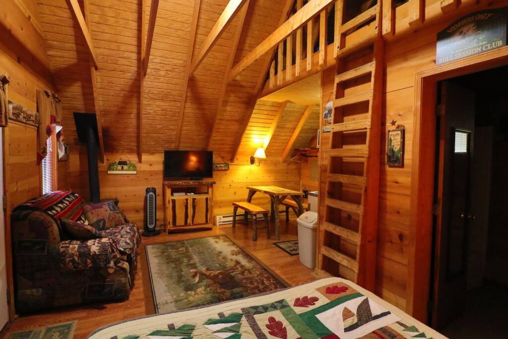 Cute Updated Mountain Cabin Fireplace #3 海伦 外观 照片
