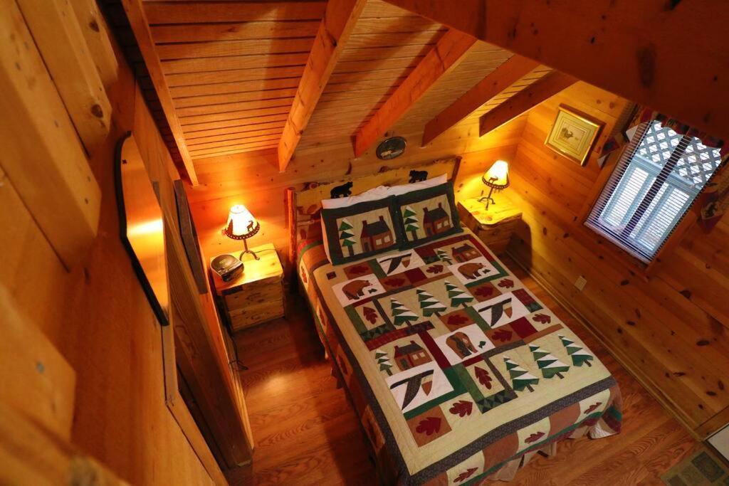 Cute Updated Mountain Cabin Fireplace #3 海伦 外观 照片